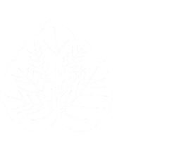 Пансионат Заря